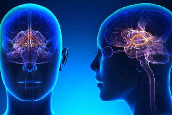 Poradnia Neurologiczna – Kolejny Specjalista